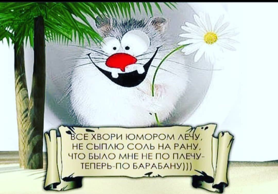 Не сыплю соль на рану,  что было мне не по плечу   теперьпо барабану