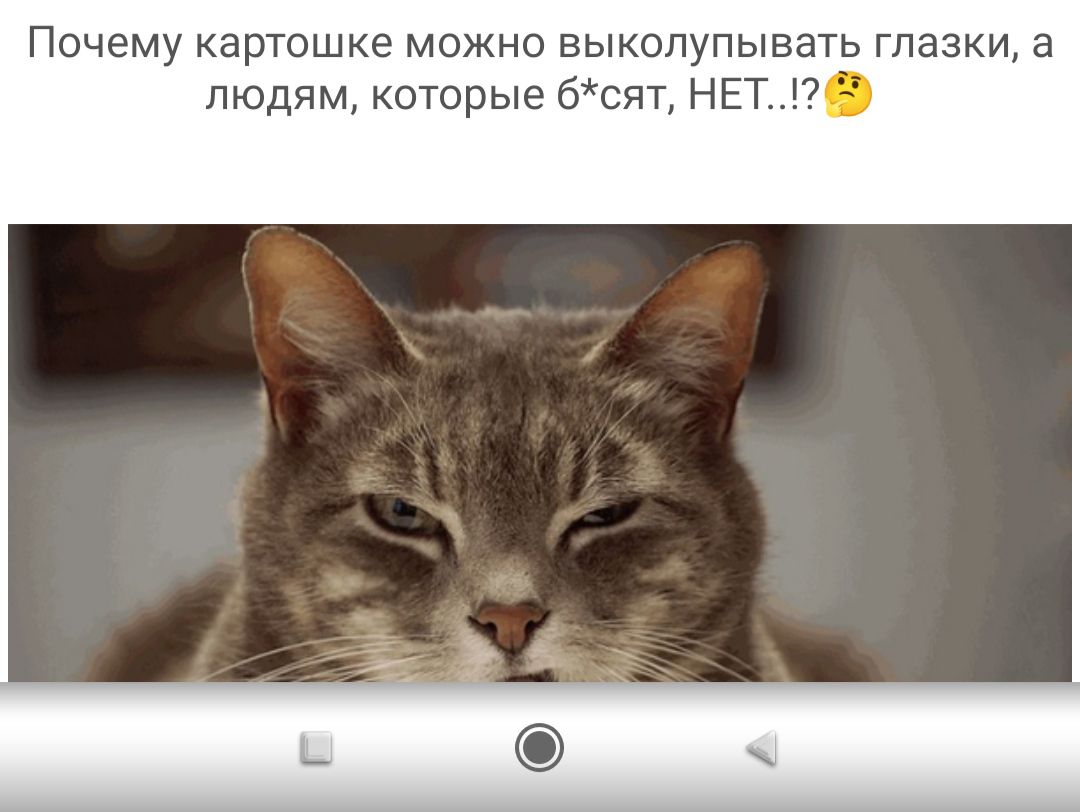 Почему картошке можно выколупывать глазки а людям которые бсят НЕТ