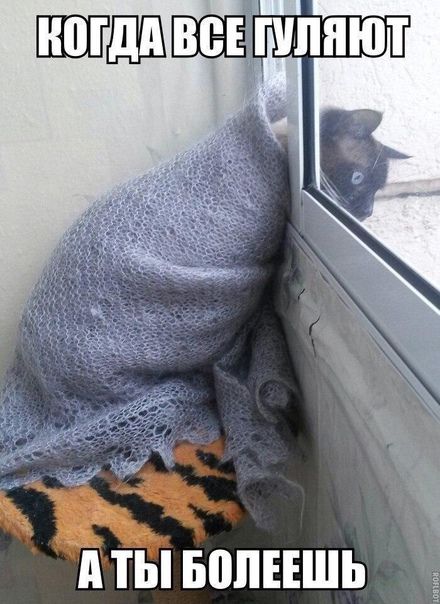 пб ЪЗ А ТЫ БППЕЕШЬ