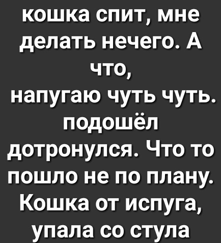 кошка спит мне делать нечего А что напугаю чуть чуть подошёл дотронулся Что то пошло не по плану Кошка от испуга упала со стула