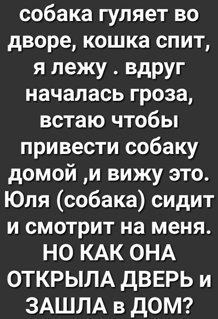 собака гуляет во дворе кошка спит я лежу вдруг началась гроза встаю чтобы привести собаку домой и вижу это Юля собака сидит и смотрит на меня НО КАК ОНА ОТКРЫЛА ДВЕРЬ и ЗАШЛА в ДОМ