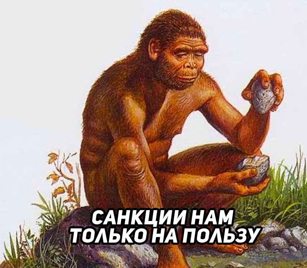 САНКЦИИ НАМ ТОЛЬКО НА ПОЛЬЗУ Ж