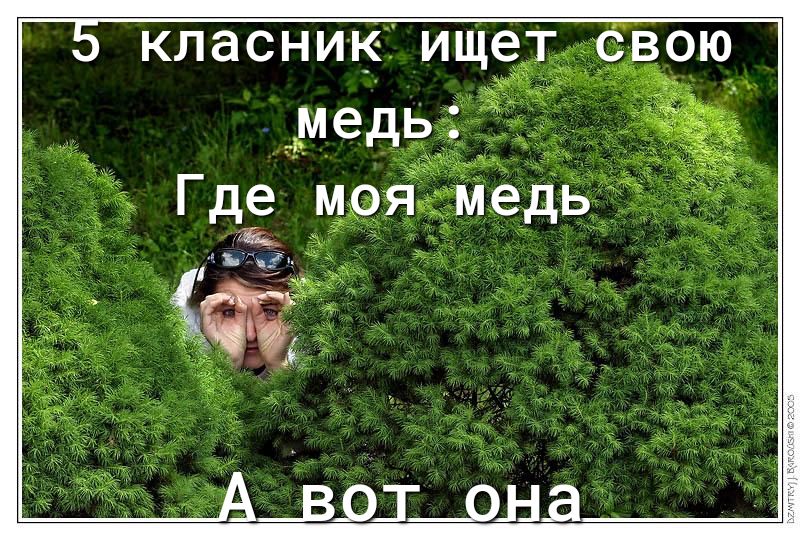 класникищ3двою