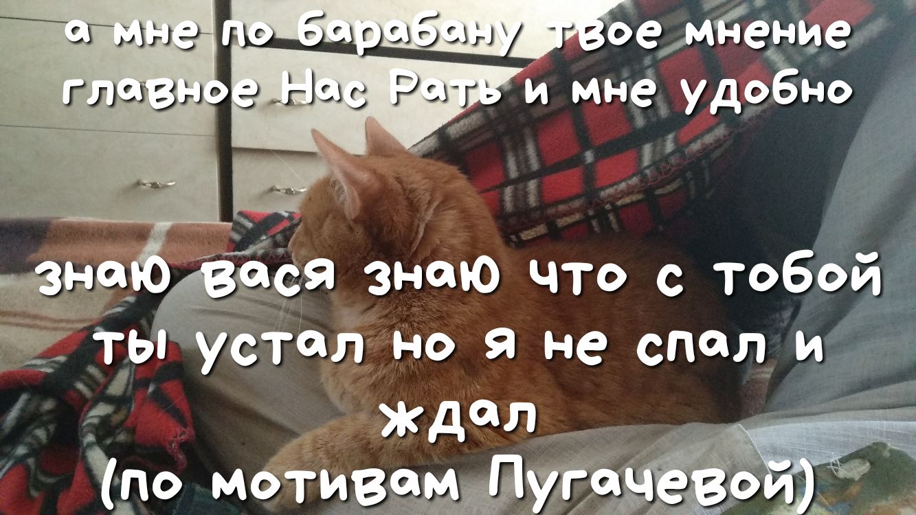 оемёенюеж и мне удоЪно изд Юёдся знаю что с Т5й3 ТЫ устал но Я не СПП