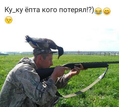 Ку_ку ёпта кого потерялее
