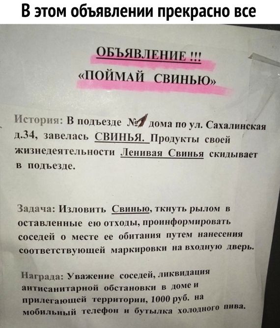 В этом объявлении прекрасно все овъявлвшш по МАЙ СВИНЬЮ Нсшрпп В 0119110 дома по ул Сахалинская 14 киш мск ППШЬЯ Продуккы своей ншелеятпышсш в подьшлш я стщыввег Залп ш Ишишпь Сипиью тип рылом п оставленные сю он цы проинформировать соседей о Месте се обитания путем пшисссния дверь соответствующей маркировки нашому ия Нягридп Уважение соседки лпквиляи пвтисаиитяриой обстановки в долги Ри іегяющей 