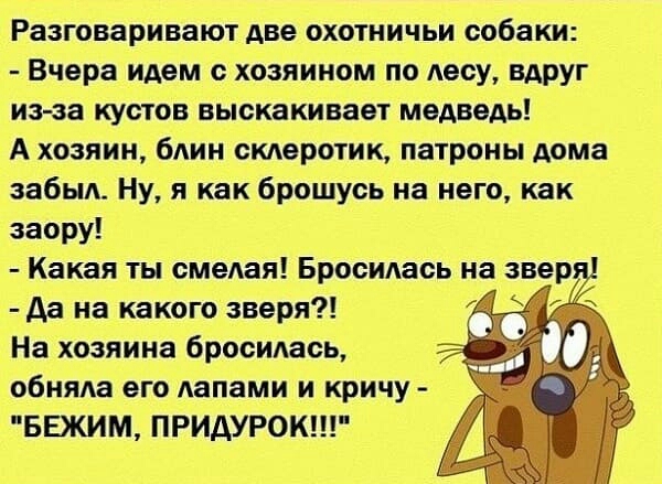 Разговаривают две охотничьи собаки Вчера идем с хозяином по Аесу вдруг из за кустов выскакивает медведь А хозяин блин склеротик патроны дома забыл Ну я как брошусь на него как заору Какая ты смелая Бросидась на звер да на какого зверя На хозяина бросилась обняда его лапами и кричу БЕЖИМ ПРИДУРОК