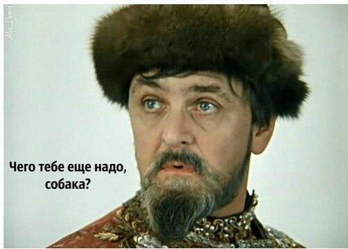 Чего тебе еще надо собака