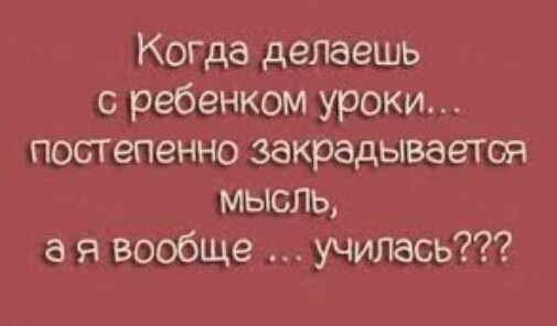 сд щ