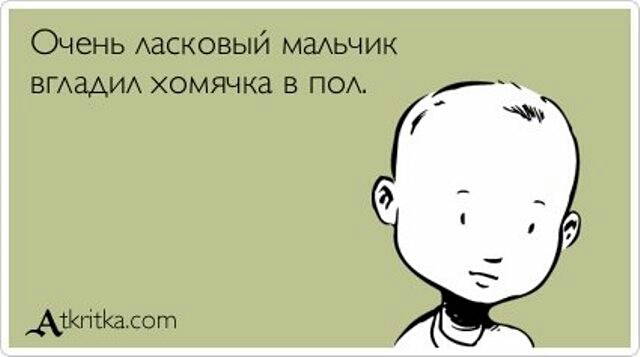 Очень Аасковый мгиьчик ВГАЭАИА хомячка в ПОА АТКгітКа со гп