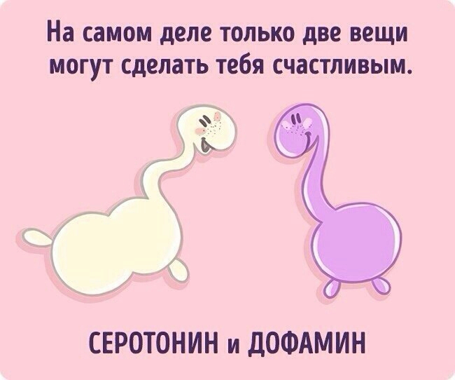 На самом деле только две вещи могут сделать тебя счастливым СЕРОТОНИН и ДОФАМИН