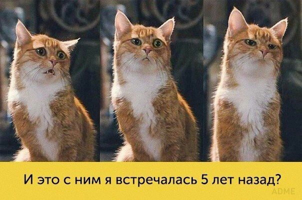 ч