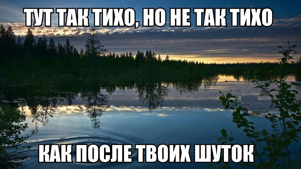гнЁЁЁоеппвоик шпон