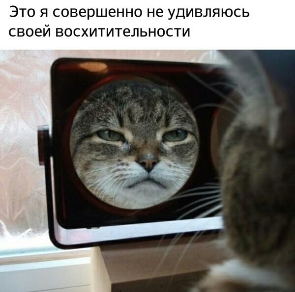 ЭТО Я совершенно не УДИВЛЯЮСЬ СВОЁЙ восхитительности