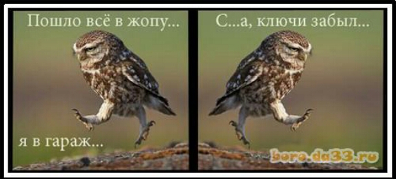 Пошло В в жоп Са ключи забыл