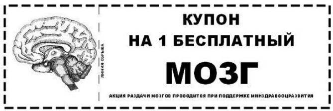 НА 1 БЕСПЛАТНЫЙ мозг дщппхмчииопппитьяппппшгщвииитшпаимпщи