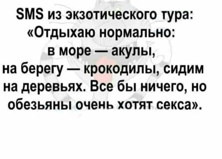 ЗМЗ из экзотического тура Отдыхаю нормально в море акулы на берегу крокодилы сидим на деревьях Все бы ничего но обезьяны очень хотят секса