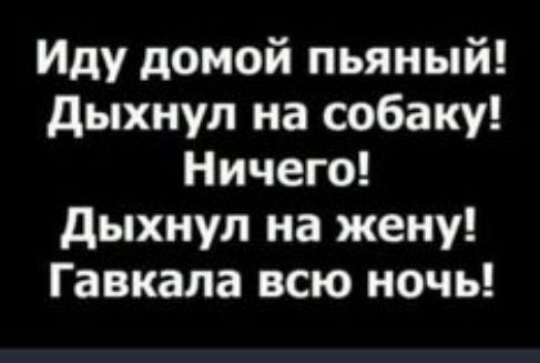 Иду домой пьяный дыхнул на собаку Ничего дыхнул на жену Гавкала всю ночь