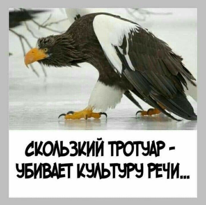 СКОАЬЗКИЙ ЧБИВАЕТ КЧАЬТЭРЧ РЕЧИ