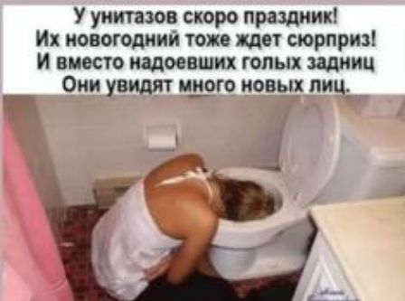 У унитазов скоро праздник Их новогоднии тоже жди сюрприз и вместо надоевших голых задниц Они увидят из иовщ ппц _