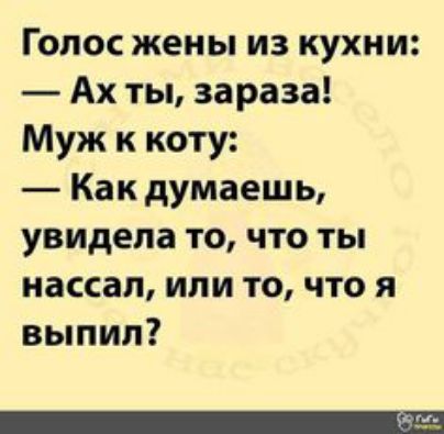 Голос жены из кухни Ах ты зараза Муж к коту Как думаешь увидела то что ты нассап или то что я выпил