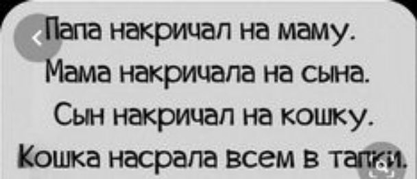 Г Папа накричап на маму Мама накрицапа на сына Сын накричап на кошку Кошка насрапа всем в тапки