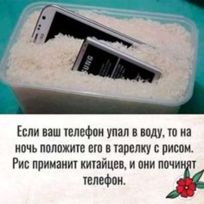 Если ваш телефон упал в воду то на ночь пплпжитс ею в тарелку рисом Рис применит китайцев и они почи т тепефпн