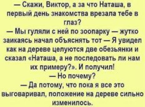 Склжи Виктор 1 и что Мишо в первый день знакомства врезал тебе в глаз Мы гуляли ней по зооп рку жутко заииясь начал объяснять тот Я увидал как на дереве целуются днс обезьянки и сказал Наташа ис последовать ли нам их примеру И получил Но почему дя потому что лок я все это выговаривал положение на дереве сильно изисиипось