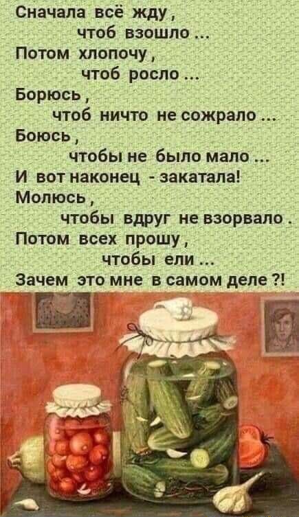 Сначала всё жду чтоб взошло Потом хлопочу чтоб росло Борюсь чтоб ничто не сожрала Боюсь чтобы не было мало И вот наконец закатала Молюсь чтобы вдруг не взорвало Потом всех прошу чтобы ели Зачем это мне в самом деле Ы