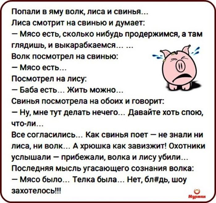 ПОПМИ В яму ВОЛК лиса И СЕИНЬП пива смотрит на свинью и думает Мясо есть сколько нибудь продержимся там глядишь И выкарабкаемся Волк посмотрел на свинью Мясо есть Посмотрел лису _ Баба есть ЖИТЬ можно Свинья посмотрела на обоих и говорит Ну мне тут делать нечего _ давайте хоть спою что ли все согласились клк свинья поет не знали ии лиса и волк А хрюшка как завизжит Охотники услышали прибежали волк