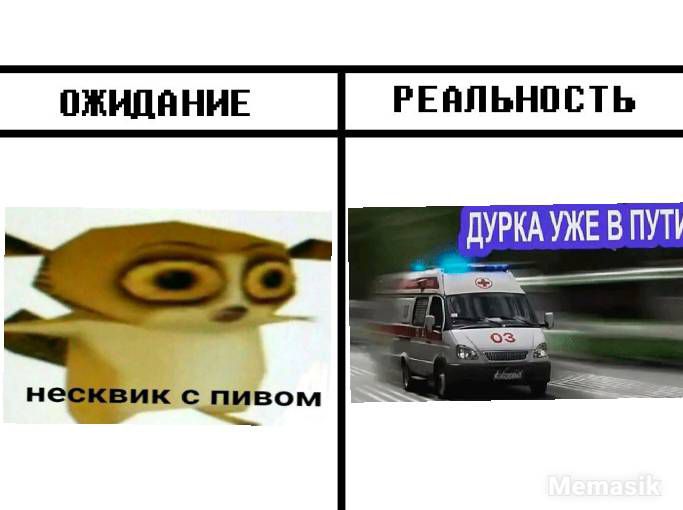 РЕЯЛЬНПВТЬ ПШНПЯННЕ НЭСКВИК сПИВОМ