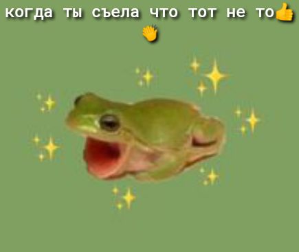 Когда ты съела что тот не то
