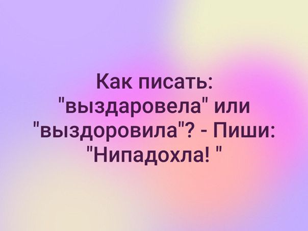 Выздоровлю или выздоровею. Выздоровила Нипадохла. Выздоровела или выздоровила пиши Нипадохла. Пиши Нипадохла. Нипадохла анекдот.