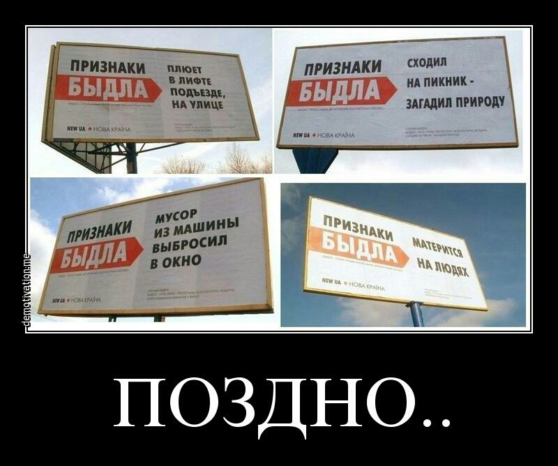 ПРИЗНАКИ пик сходил в лиш ид пикник а иЁЁЁЁ зшдил природу