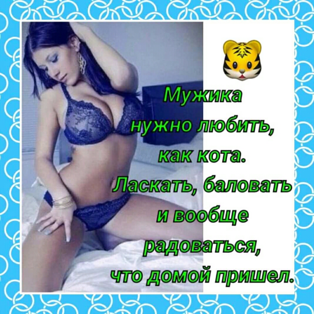 тдМ дй сэм