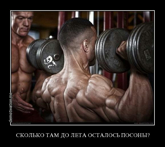 СКОЛЬКО ТАМ ДО ЛЕТА ОСТАЛОСЬ ПОСОНЫ