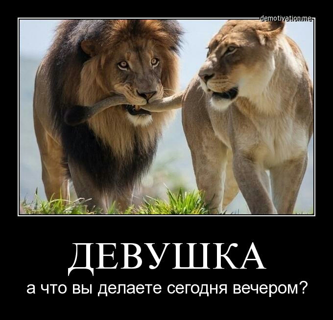 ДЁВУШКА а ЧТО ВЫ делаете СЭГОДНЯ ВЭЧЭРОМ