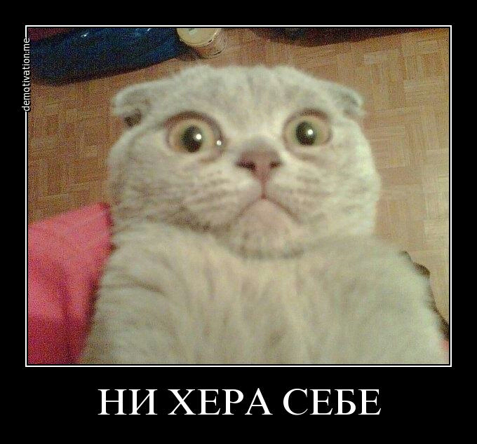 НИ ХЕРА СЕБЕ