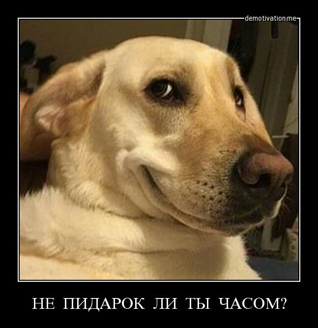 _ петпшвпип те НЕ ПИДАРОК ЛИ ТЫ ЧАСОМ