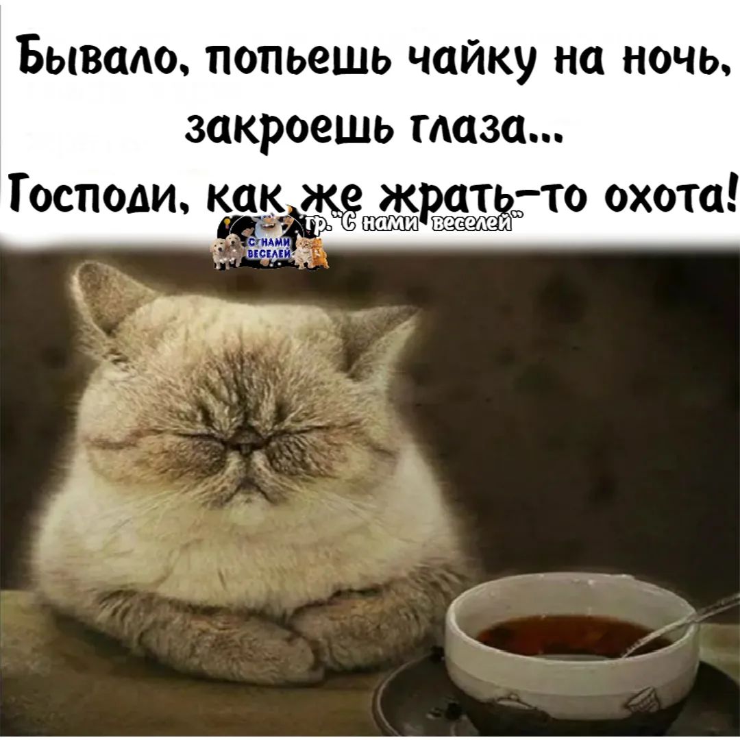 Бывшю попьешь чайку на ночь закроешь маза Господи как раз то охота г