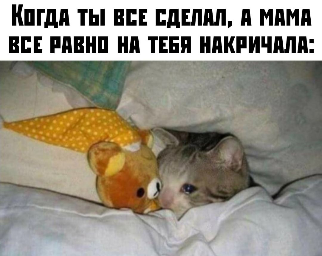 Кпгдп ты впн пднлпл и мини впн пивнп нп тнг _я нпкпичплп