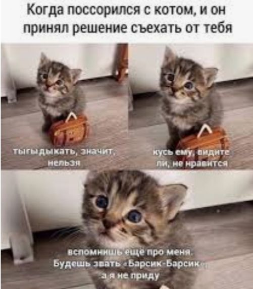 Когда ПОССОРИЛСЯ С КОТОМ И ОН ПРИНЯЛ решение съехать ОТ тебя итд пить этиш _ віку пц индии іі нв ира итс нельзя пионий про меня д Будешь пять Ьарс и Барсы г