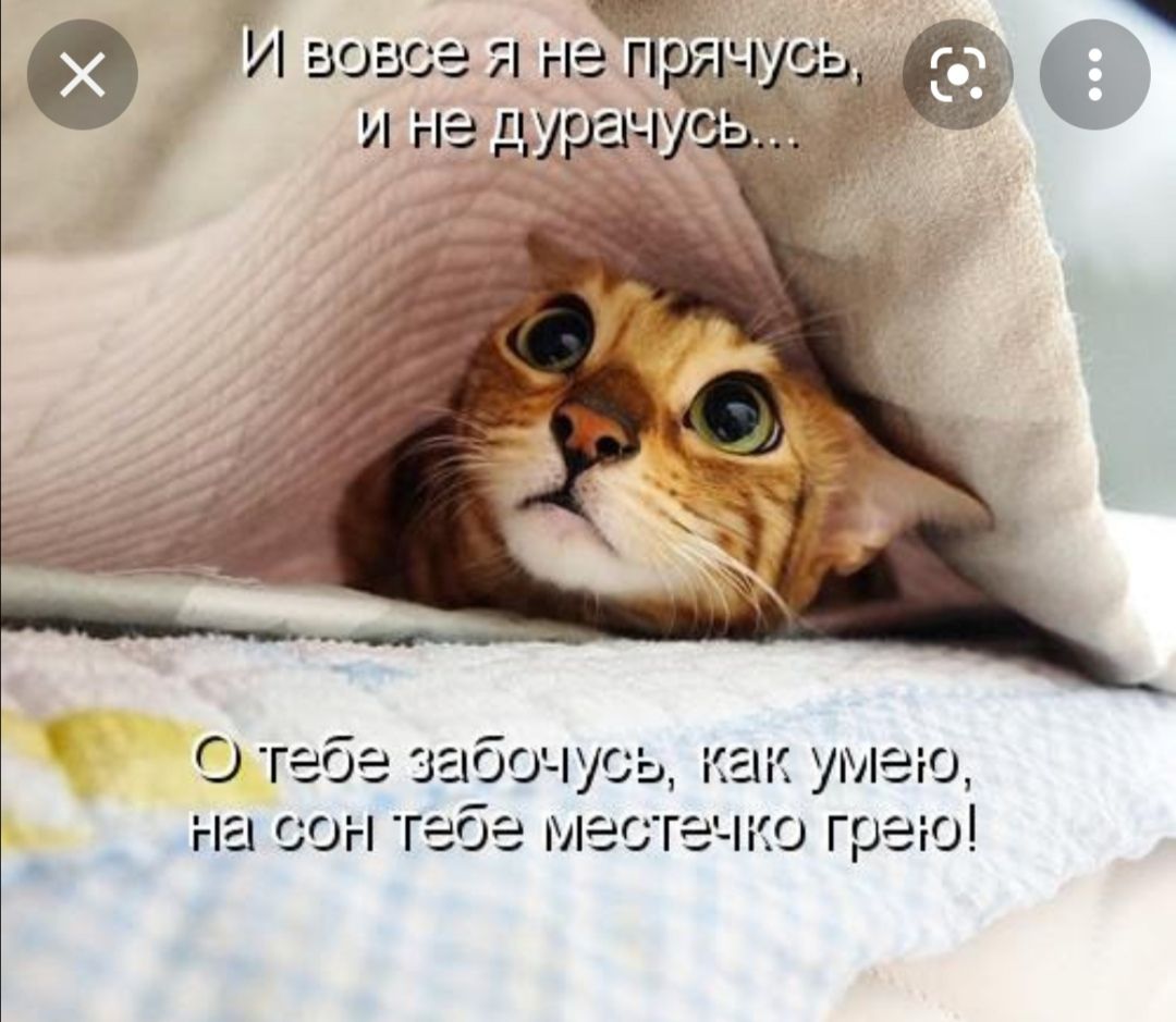 чмо грею сте 2 3 М _9 ГС