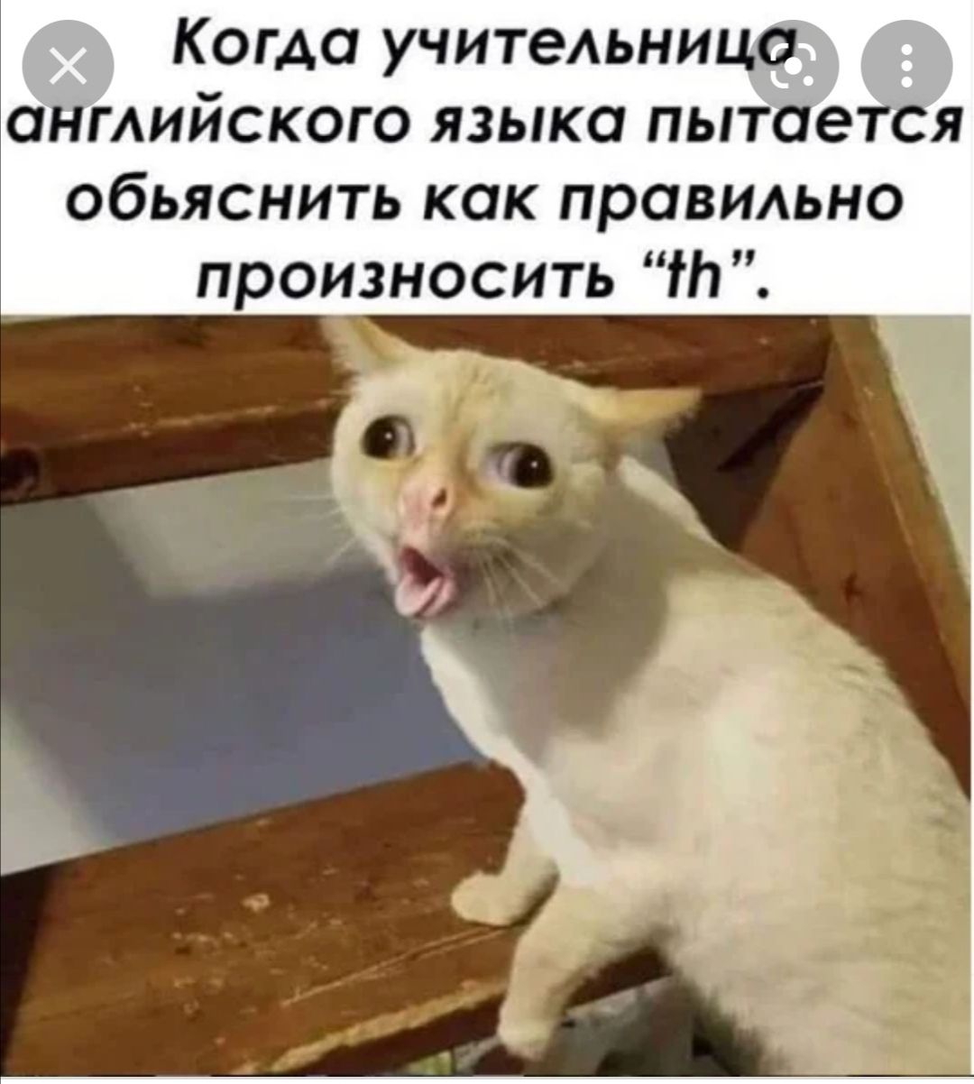Когда учитеАьницо анмийского языка пытается обьяснить как правшьно произносить Пт
