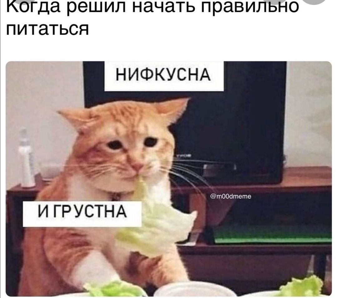 Когда решил Н8Ч8ТЬ правильно питаться НИФКУСНА