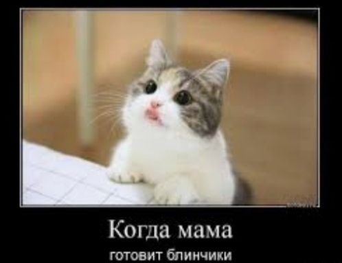 Когда мама готовит блинчики