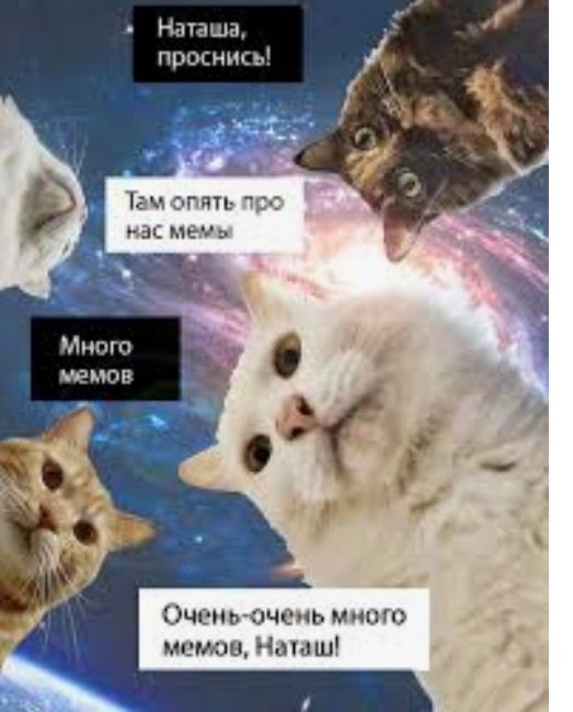 Нашша проснисы 12 стип ис меч Инта ЮНОЕ Оченъочень мно п мшты Идиш