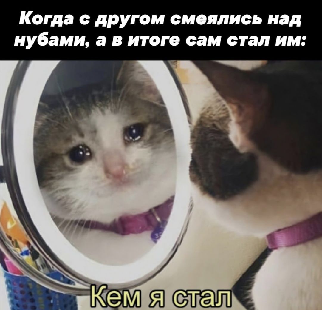 Когда с другом смеялись над нубами а в итоге сам стал им