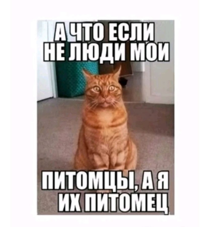 д ЧТ0 ЕСЛИ НЕ ЛЮДИ МОИ ПИТПМЦЫ А Я их ПИТВМЩ