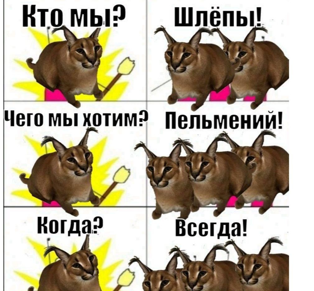 Кто мы?   Шлёпы! Л чего мы хотимэ пельмений!